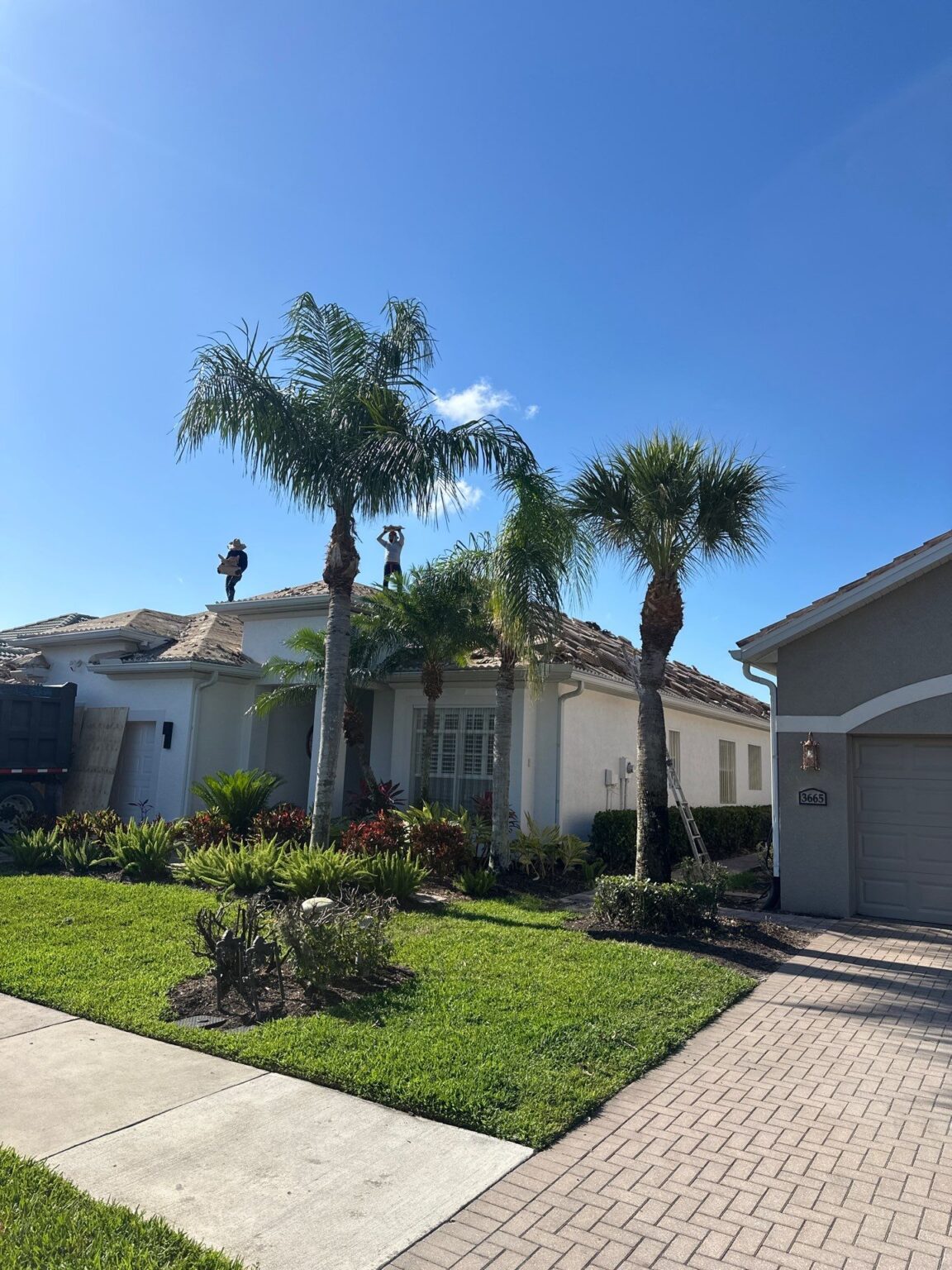 Skilled roofing team collaborating on installation